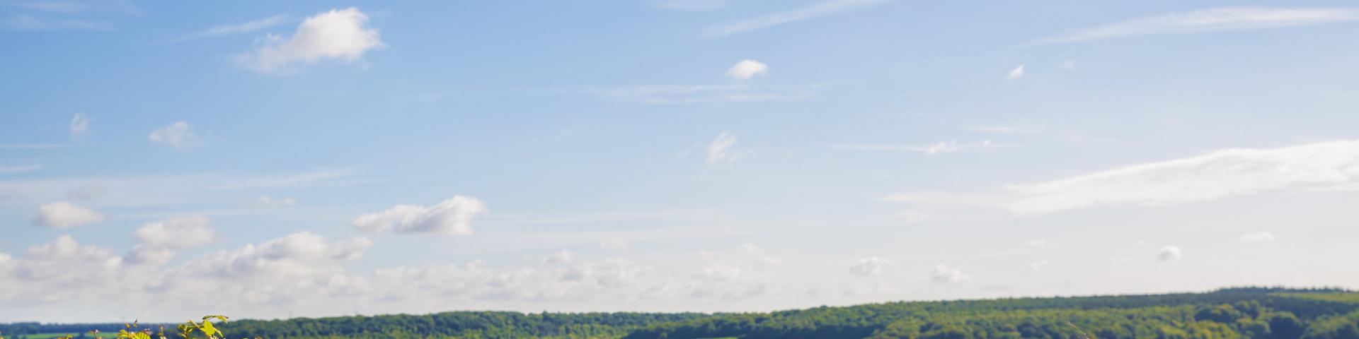 175784187 10158297652448152 4845030045493735123 N