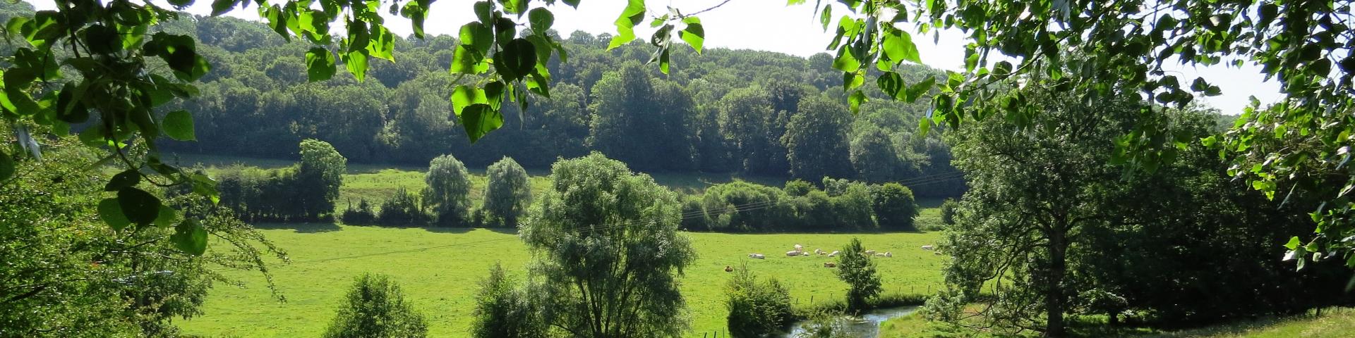 Bienvenue En Terroir De Caux