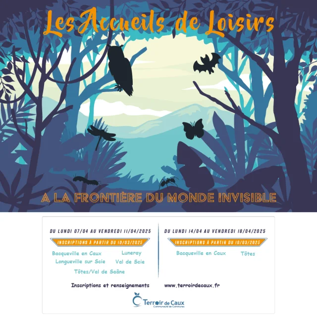 Visuel Reseaux